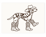 Postcard Dalmatian