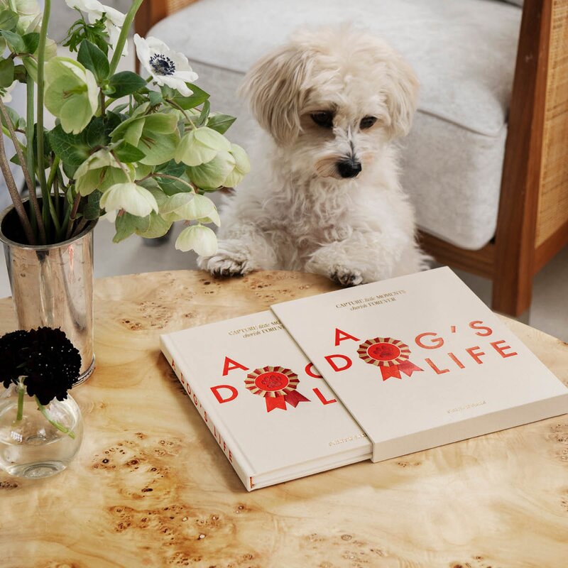 A DOG'S LIFE - DOG JOURNAL